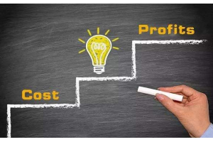 簡析:獨立站Dropshipping一件代發模式的利弊