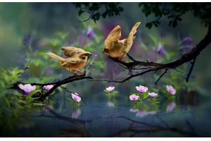 泰嘉物流3月大降價(jià)!UPS快遞運(yùn)費(fèi)降幅高達(dá)8-15元/KG