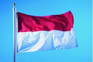 沒想到吧！印尼電商滲透率高于歐美