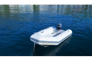 俄羅斯速賣(mài)通水上娛樂(lè)用品銷量暴漲，太好賣(mài)