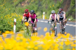 歐洲市場(chǎng)對(duì)自行車需求旺盛，銷售額激增了40%