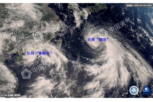 臺(tái)風(fēng)來(lái)襲，鹽田、蛇口港暫停提箱服務(wù)