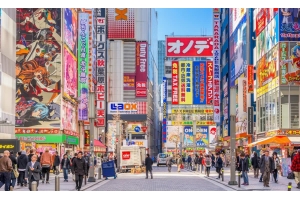 日本專線-日本佐川小包專線，可走化妝品