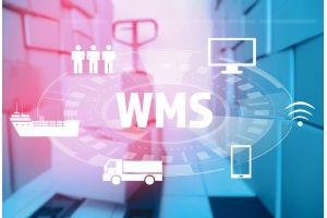 電商云倉(cāng)與跨境云倉(cāng)儲(chǔ)的區(qū)別？