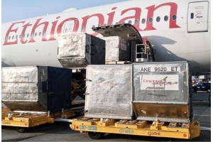 跨境國(guó)際快遞物流各種渠道運(yùn)費(fèi)和時(shí)效都是怎樣的？