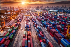 假花在國際郵寄過程中可能遇到的海關申報要求是什么?