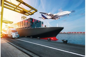 使用跨境國際快遞時，干花的質量是否容易受損?