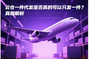 云倉一件代發是否真的可以只發一件？真相解析