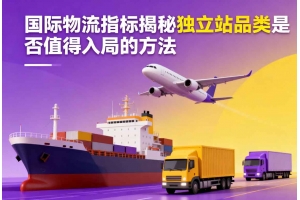 國(guó)際物流指標(biāo)揭秘獨(dú)立站品類(lèi)是否值得入局的方法