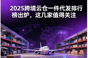 2025跨境云倉一件代發排行榜出爐，這幾家值得關注