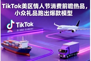 TikTok美區情人節消費前瞻熱品，小眾禮品跑出爆款模型