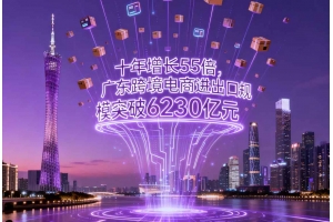 十年增長(zhǎng)55倍，廣東跨境電商進(jìn)出口規(guī)模突破6230億元