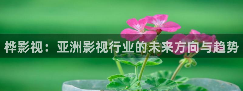 麻豆電影在線觀看免費播放